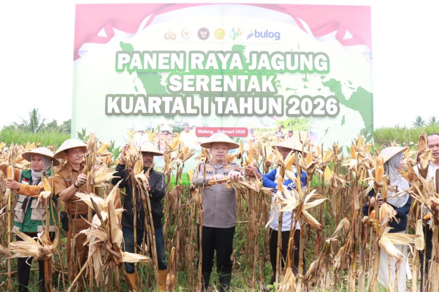 Panen Raya Jagung Polres Malang Berhasil Hasilkan 8 Ton