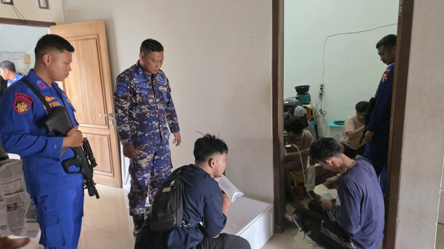 47 Ribu Benih Lobster Berhasil Diamankan dari Penyelundupan